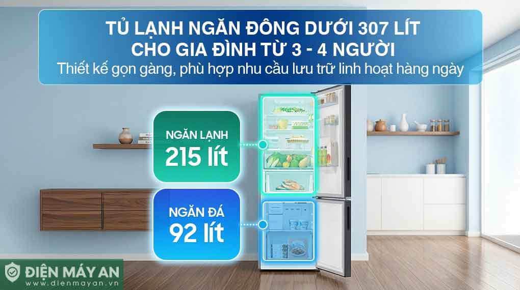 Tủ lạnh Samsung Inverter 307 lít RB30N4190B1/SV